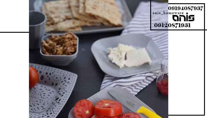 سرویس سفری