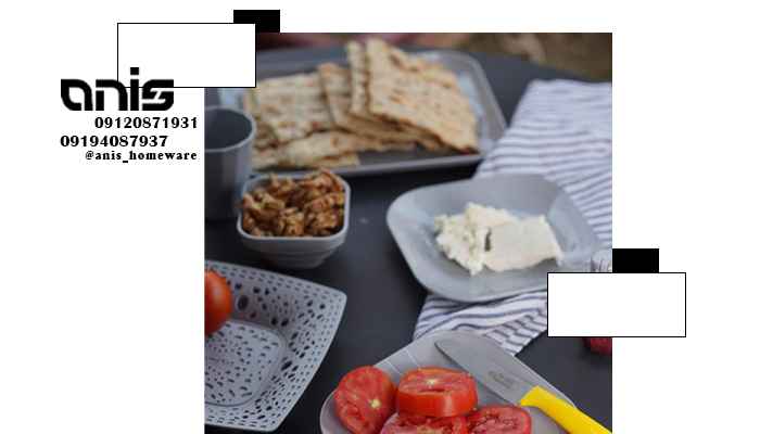 سرویس غذای سفری