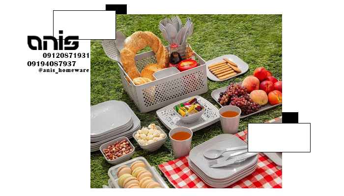 سرویس غذای مسافرتی