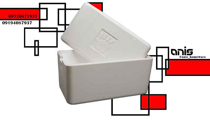 یخدان یونولیتی ماهی