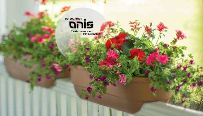 گلدان پلاستیکی