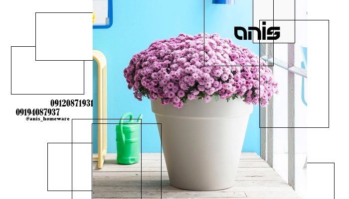 خرید گلدان پلاستیکی