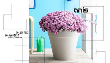 بازار عمده فروشی گلدان پلاستیکی رنگی (New) + حراج 1404