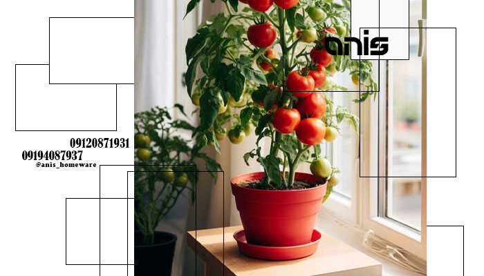 قیمت گلدان پلاستیکی