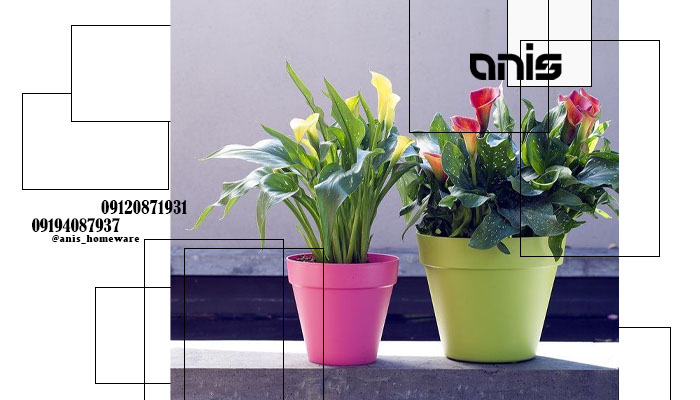 گلدان پلاستیکی رنگی