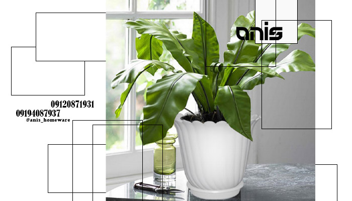 گلدان پلاستیکی گرد