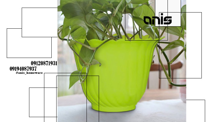 گلدان پلاستیکی گلسرخ