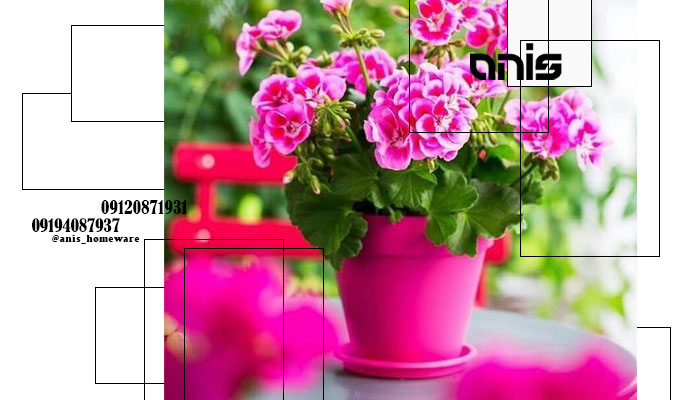 گلدان پلاستیکی