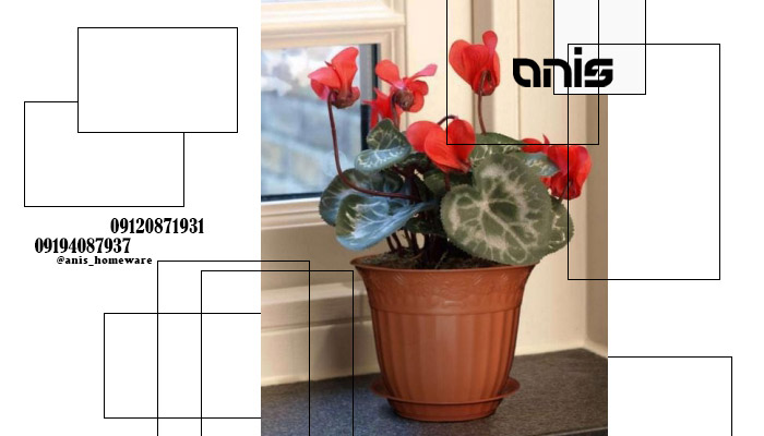 گلدان پلاستیکی اپارتمانی